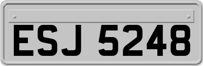 ESJ5248