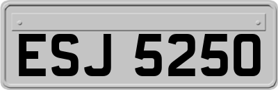 ESJ5250