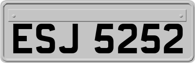 ESJ5252