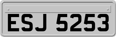 ESJ5253