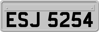 ESJ5254