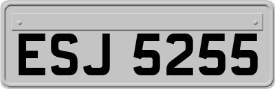 ESJ5255