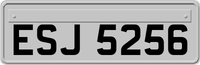 ESJ5256