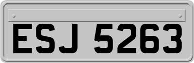 ESJ5263