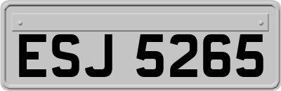 ESJ5265