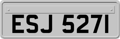ESJ5271