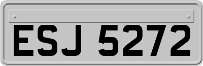 ESJ5272