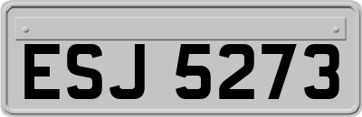ESJ5273