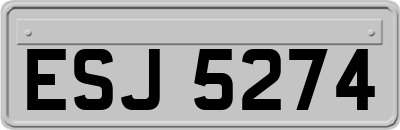 ESJ5274