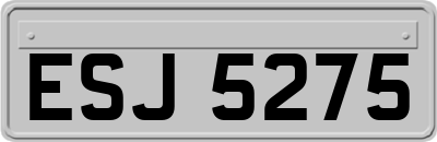 ESJ5275