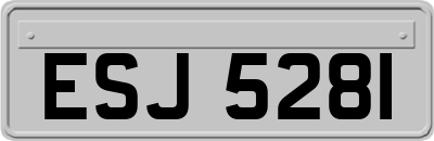 ESJ5281