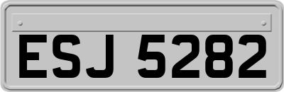 ESJ5282