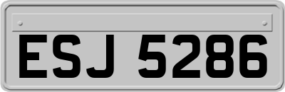 ESJ5286
