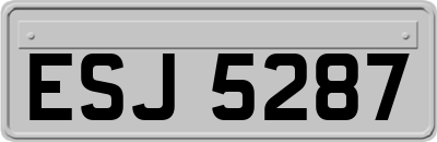 ESJ5287
