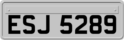 ESJ5289