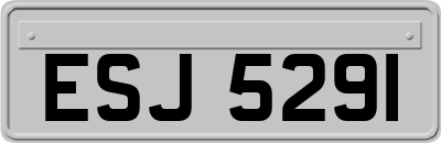 ESJ5291