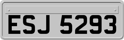 ESJ5293