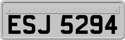 ESJ5294