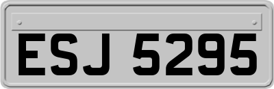 ESJ5295