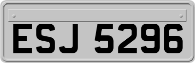 ESJ5296