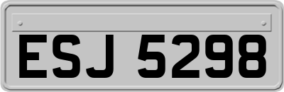 ESJ5298