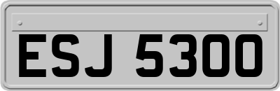ESJ5300