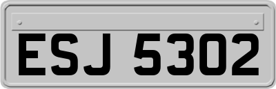 ESJ5302