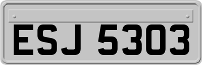 ESJ5303