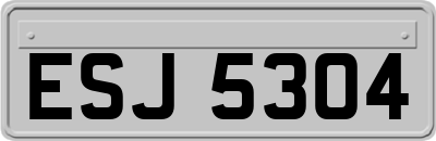 ESJ5304