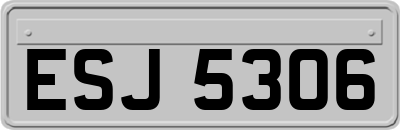 ESJ5306