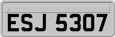 ESJ5307