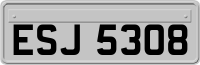 ESJ5308