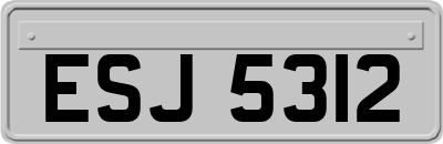 ESJ5312