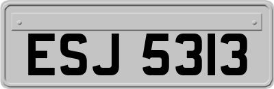 ESJ5313