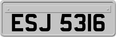 ESJ5316