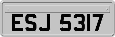 ESJ5317