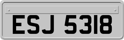 ESJ5318