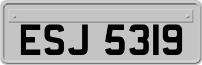 ESJ5319