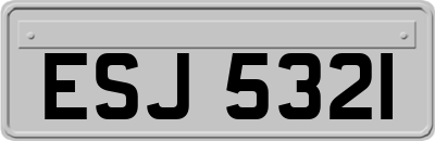 ESJ5321