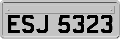 ESJ5323