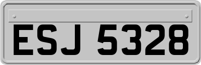 ESJ5328