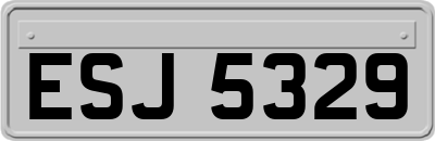 ESJ5329
