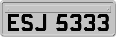 ESJ5333