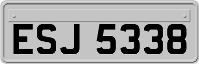 ESJ5338