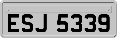ESJ5339