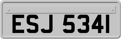 ESJ5341
