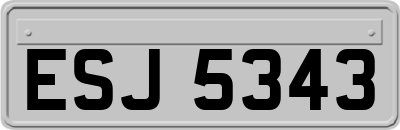 ESJ5343