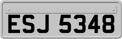 ESJ5348