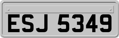 ESJ5349