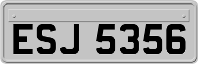 ESJ5356
